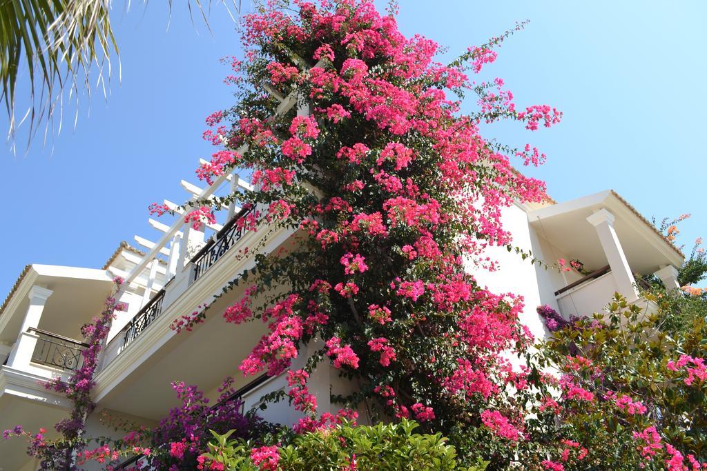 Delfino Blu Wellness Boutique Hotel Agios Stefanos Avliotes  Екстериор снимка